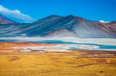 Piedras Rojas, Salar de Atacama y lagos del altiplano