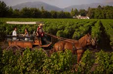 Visita alla cantina Viña Viu Manent