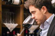 Cata de vinos chilenos