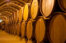 Excursão à Vinícola Concha y Toro