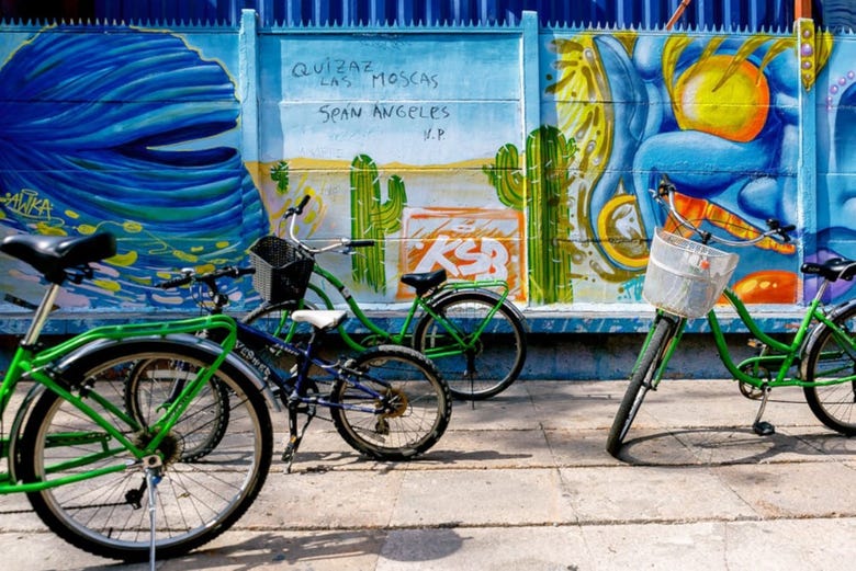 Admiring Santiago's street art on the bike tour