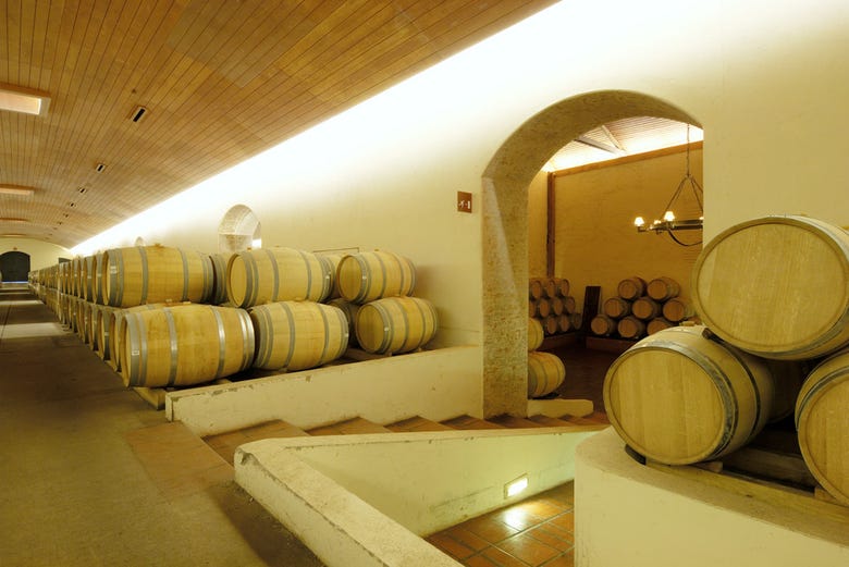 Inside the wine cellars of the Concha y Toro vineyard