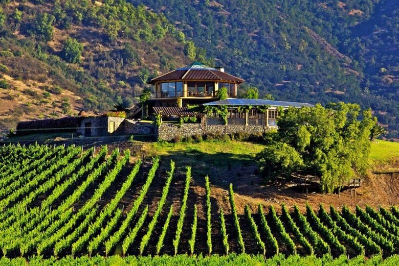 Uno de los viñedos del Valle de Colchagua