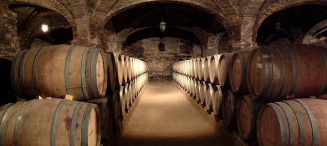 Visita às adegas de Santa Rita
