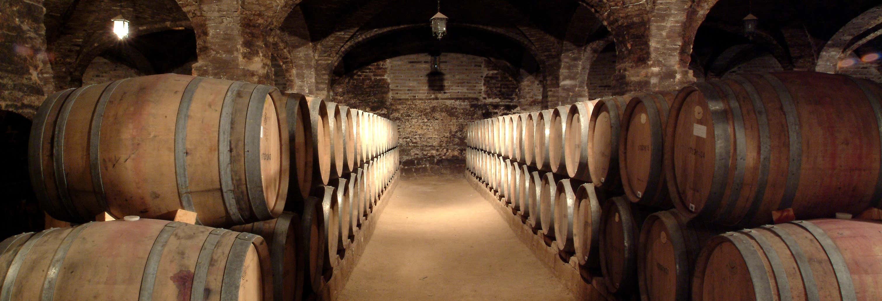 Visita às adegas de Santa Rita