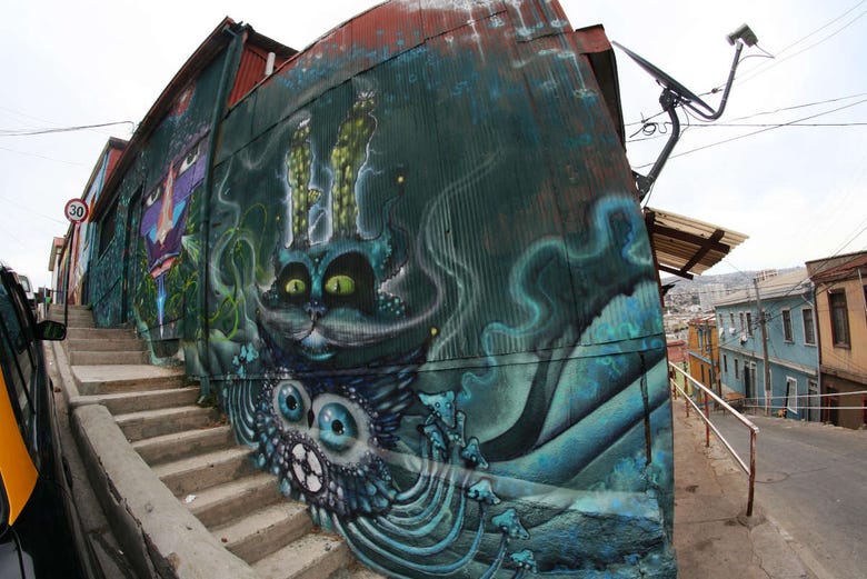 Grafiti de gato en Valparaíso