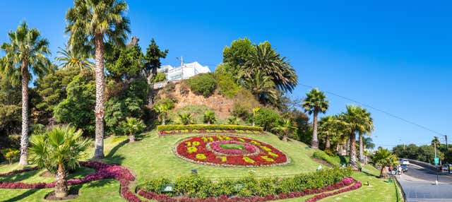 Free tour por Viña del Mar
