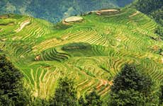 Tour pelos campos de arroz e aldeias de Longji