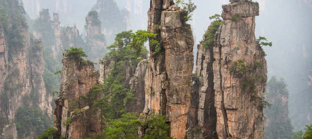 Escursione privata al monte Tianzi + Ponte di Vetro