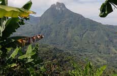 Excursión a Guática y Quinchía