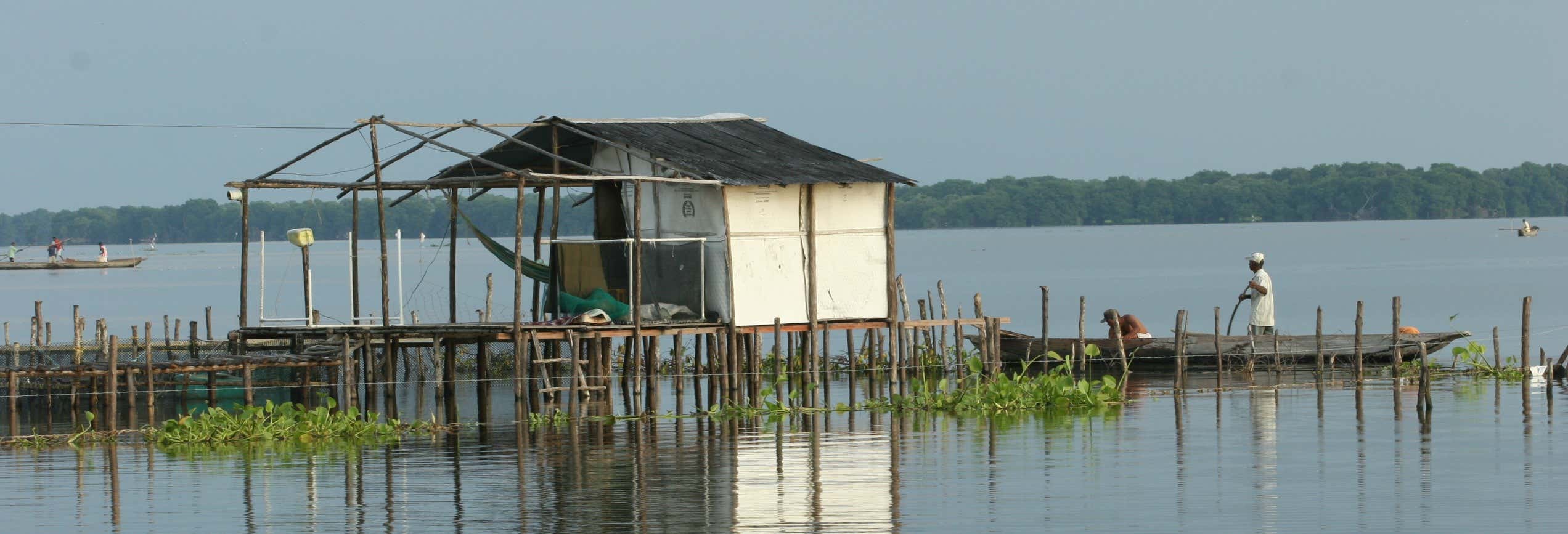 Excursión a Ciénaga