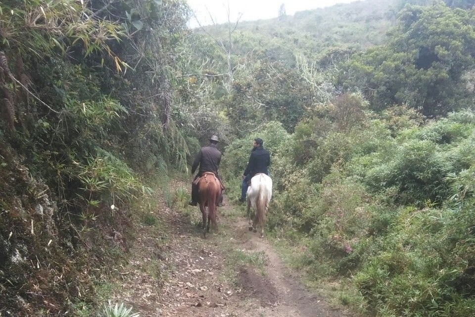 Paseo a caballo por el embalse del Sisga desde Chocontá