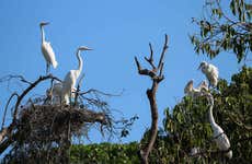 Trilha pela Via Parque Ilha de Salamanca