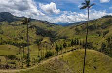 Excursão ao Vale do Cocora + Passeio a cavalo