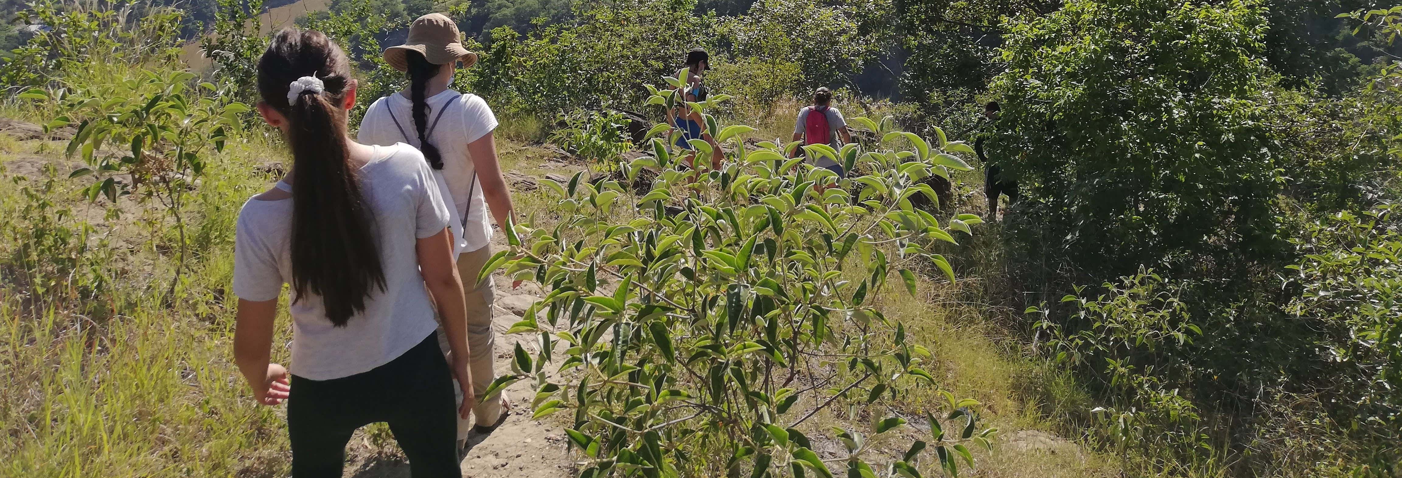 Senderismo por el cerro Cacao en Pelota desde Honda