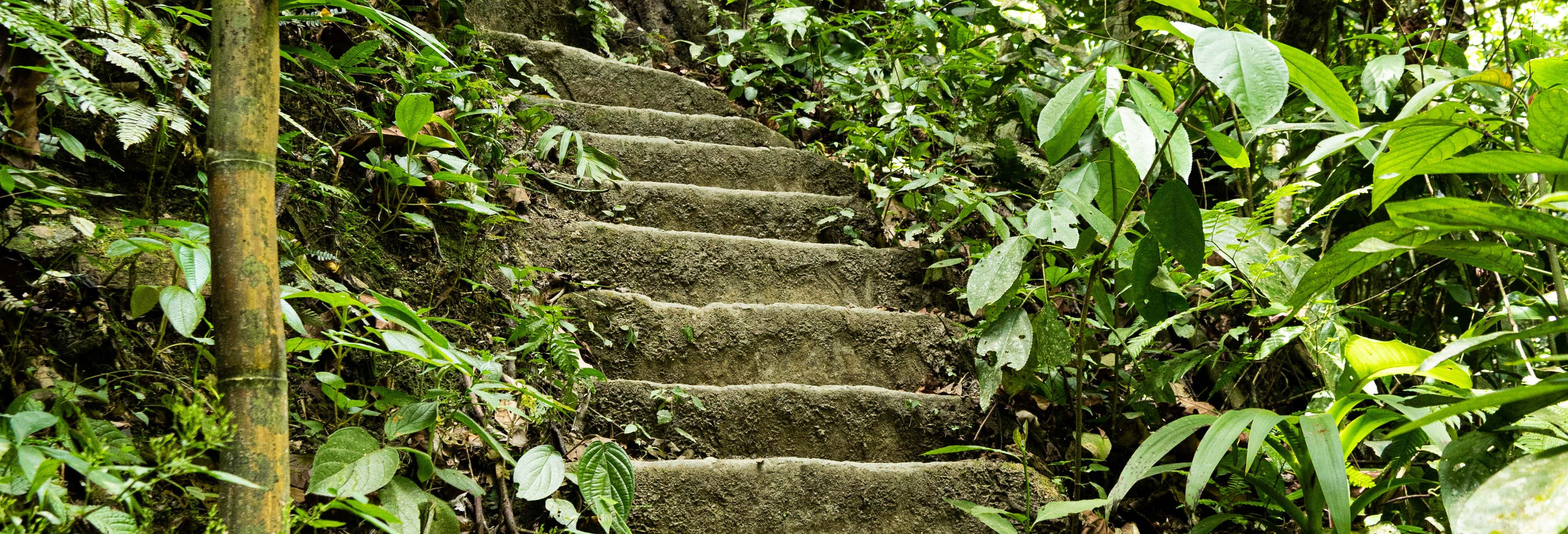 Excursión A La Ciudad Perdida De Falan Desde Ibagué