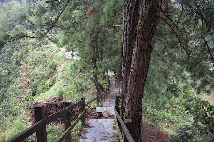 Mirador de los Sauces - Mirador de los Sauces