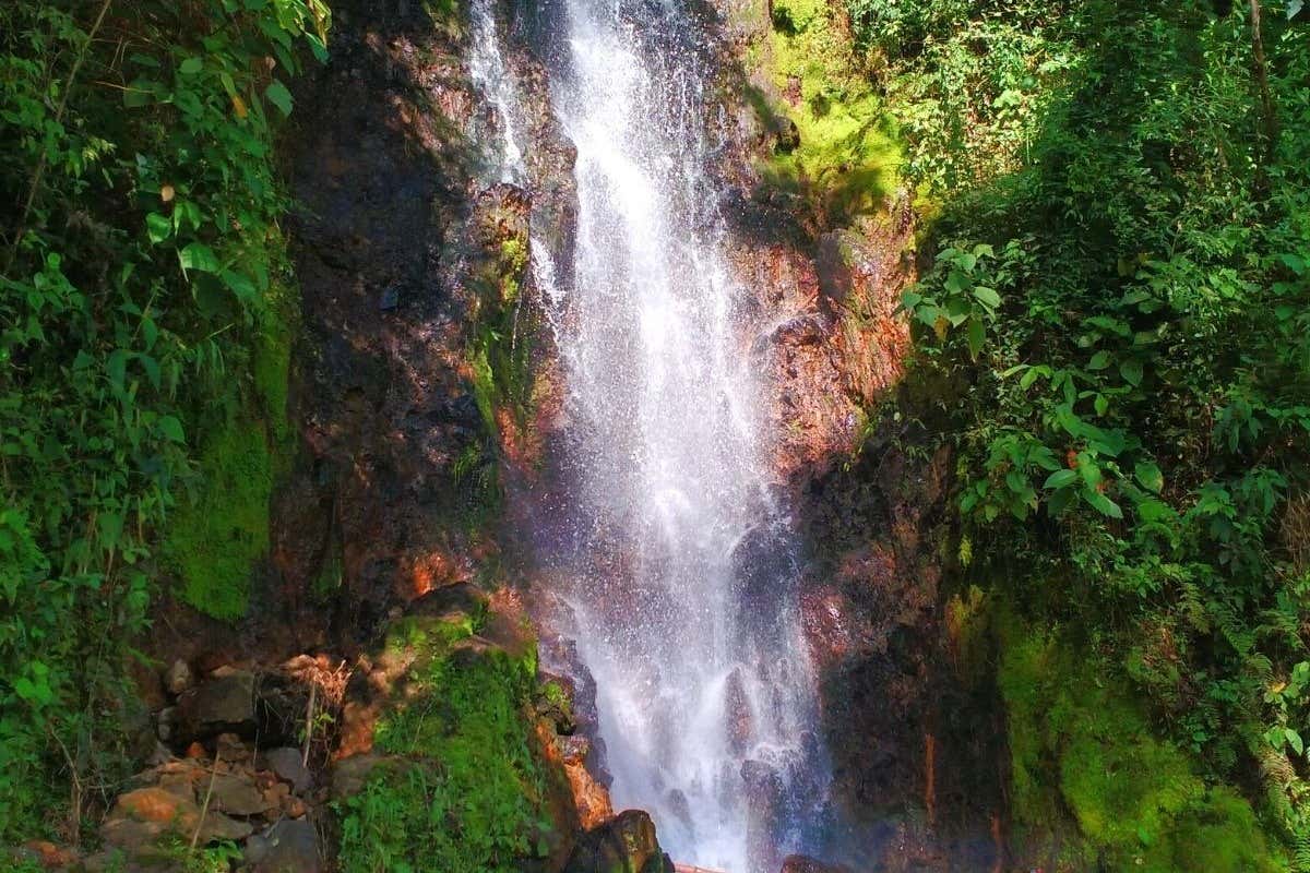 Excursión a las veredas La Herrera y Serranías desde Jardín