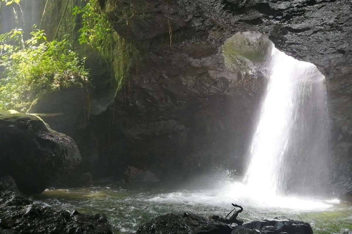 Tour por la Reserva Natural Cueva del Esplendor desde Jardín