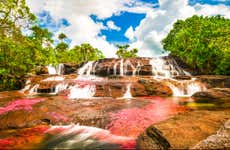 Excursión a Caño Cristales