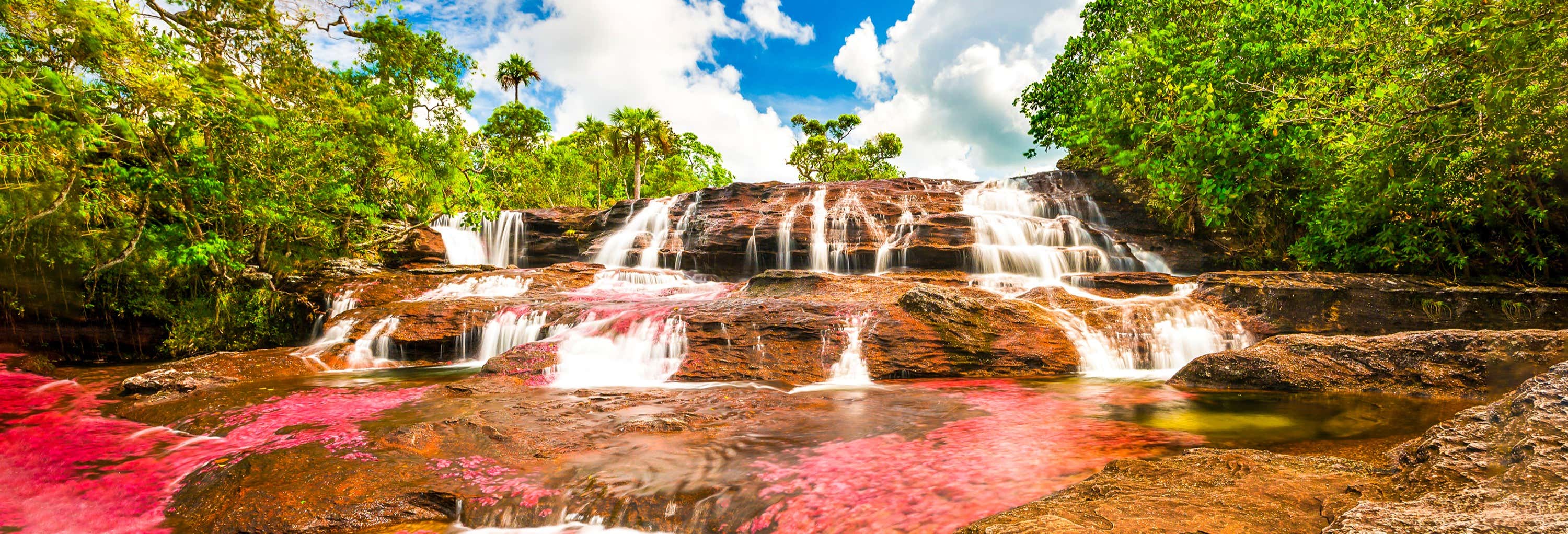 Excursión a Caño Cristales desde La Macarena