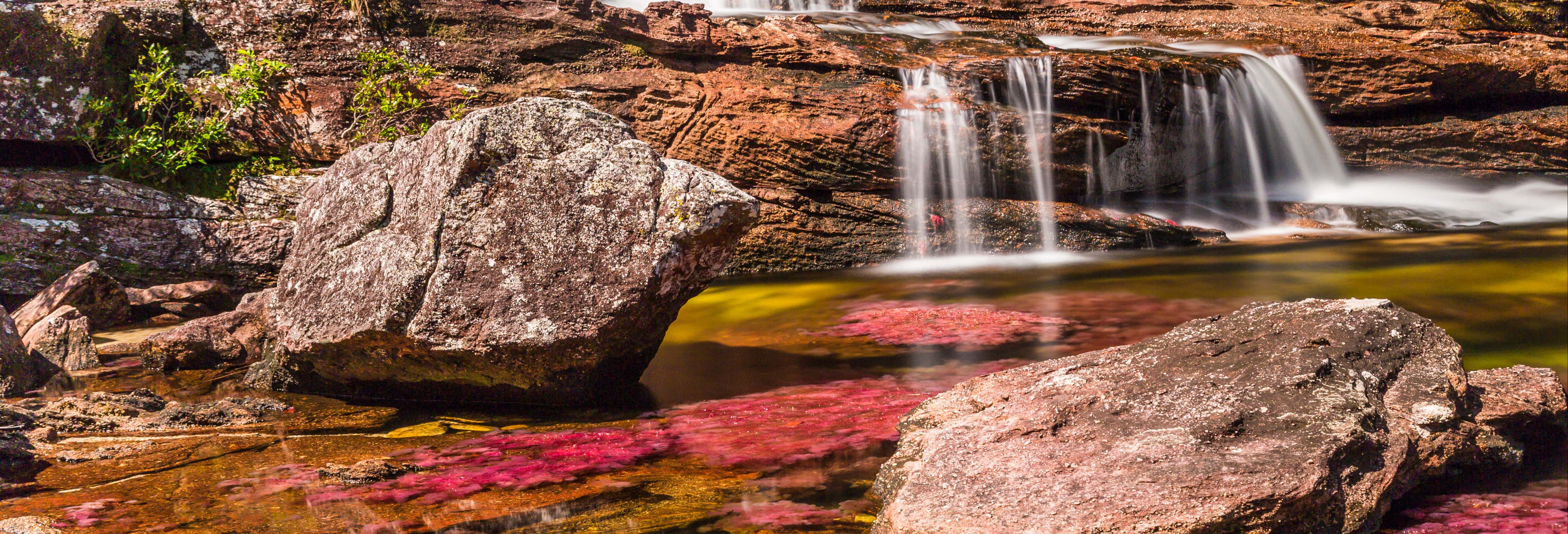 Tour de 3, 4 o 5 días por Caño Cristales y Sierra de La Macarena