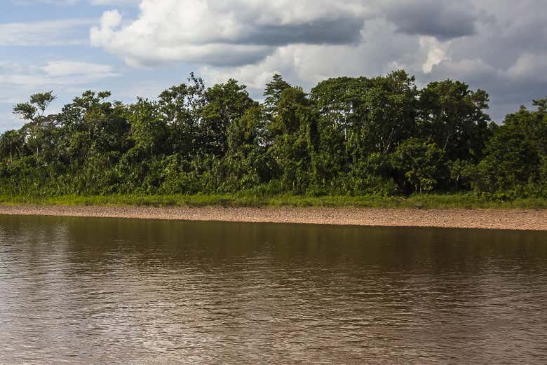Les canaux de la forêt amazonienne - Les canaux de la forêt amazonienne