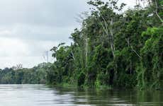 Tour di 3 giorni nella foresta amazzonica