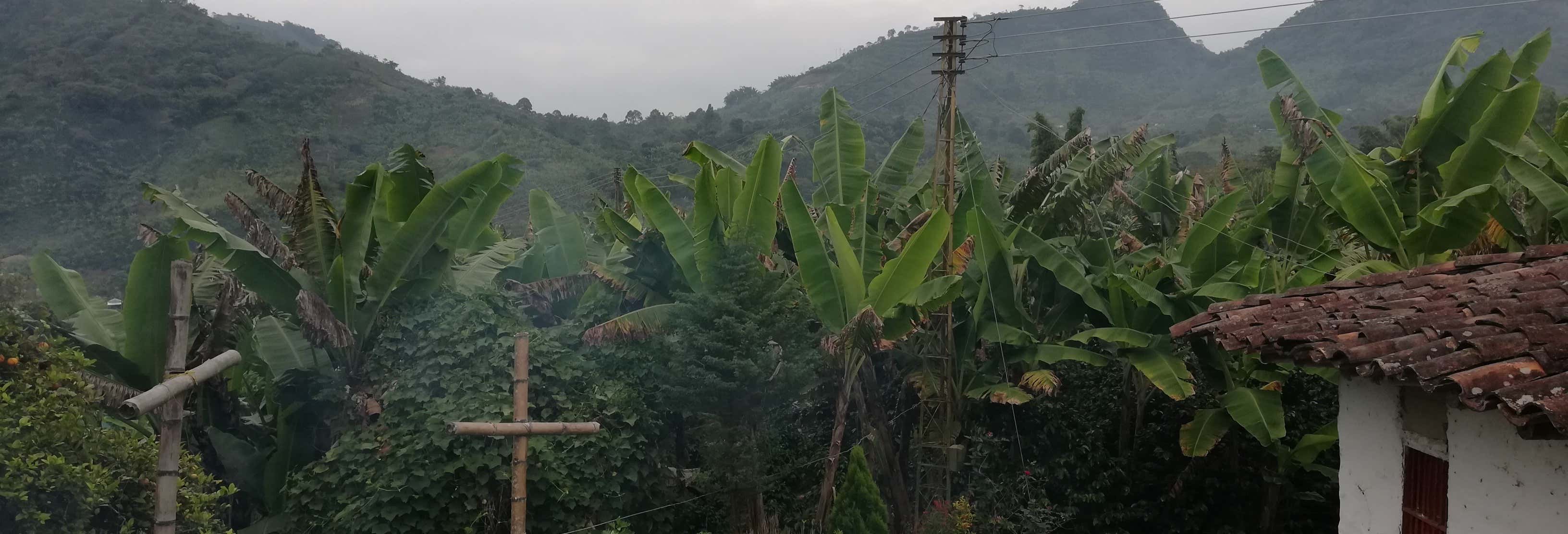 Excursión a Guática y Quinchía