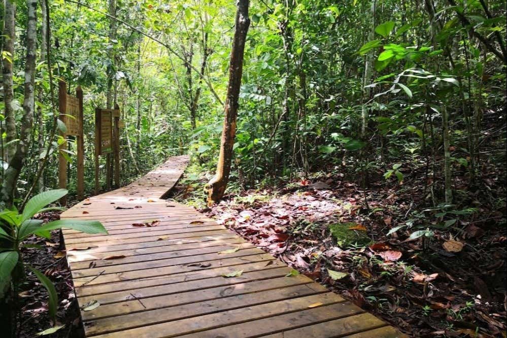 Excursión a La Virginia y El Guásimo desde Manizales