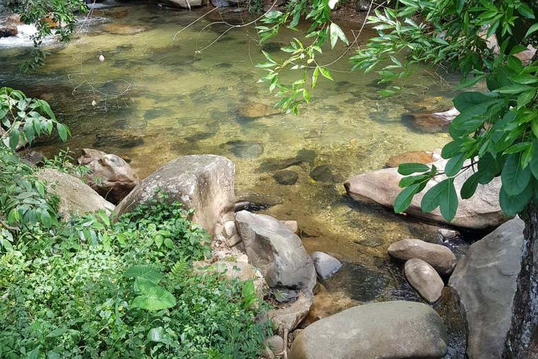 Cauce del río Sucio - Cauce del río Sucio