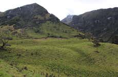 Trilha privada por El Bosque + Termais de Canaán