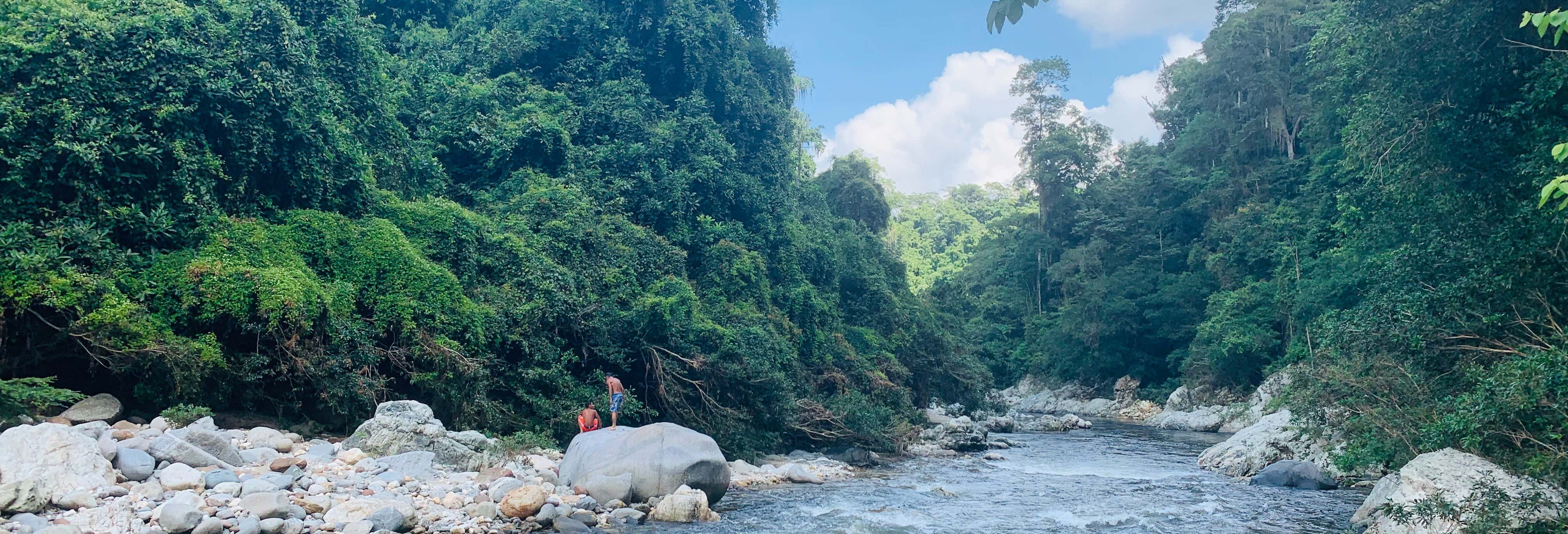 Excursión al río Buritaca desde Palomino