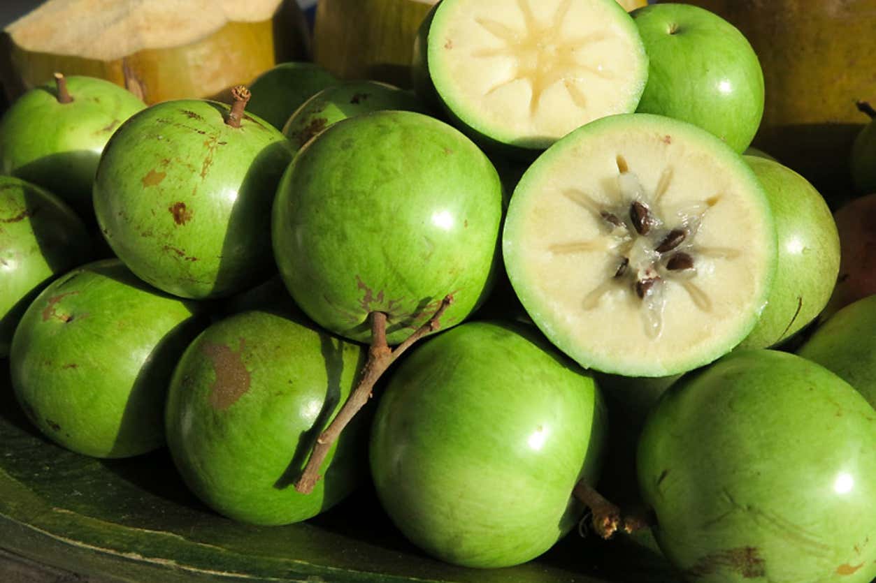 Tour gastronómico por la finca La Jorará desde Palomino