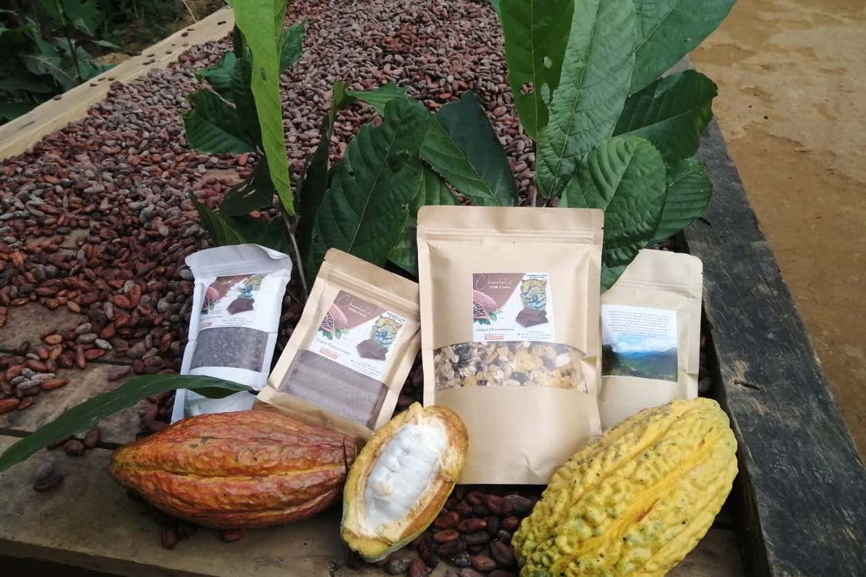 Tour del cacao desde Palomino
