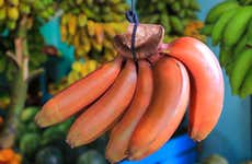Tour da banana
