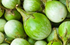 Tour gastronômico pela fazenda La Jorará