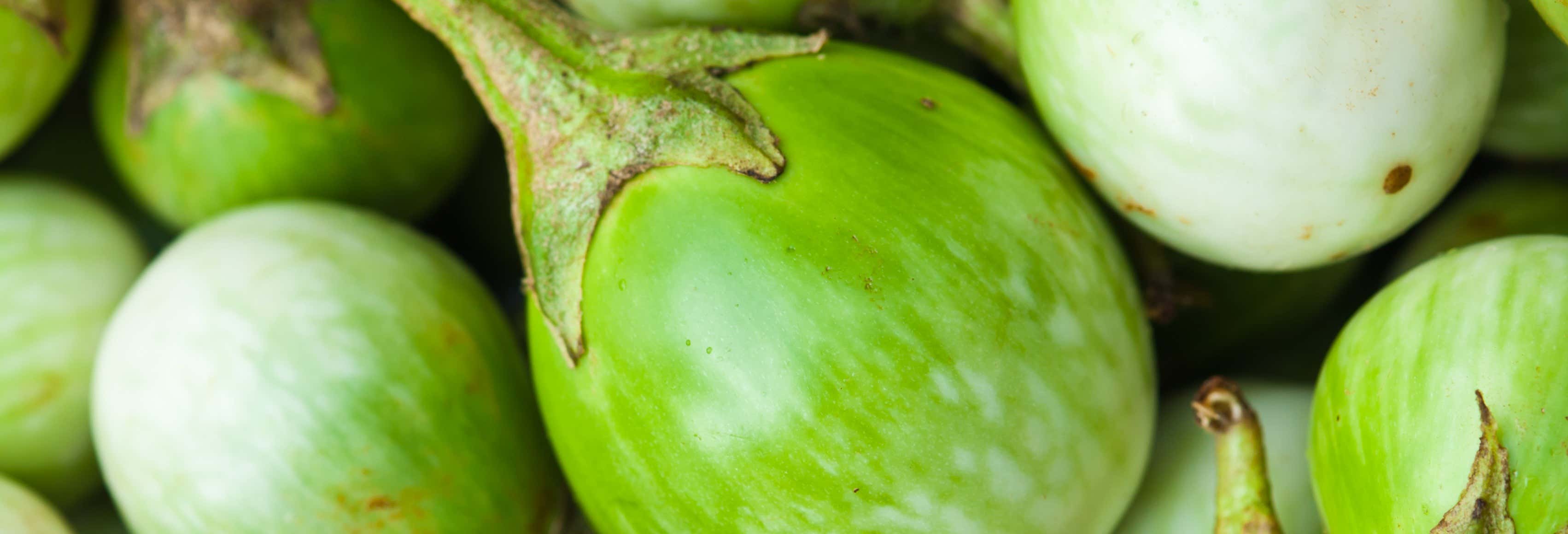 Tour gastronómico por la finca La Jorará
