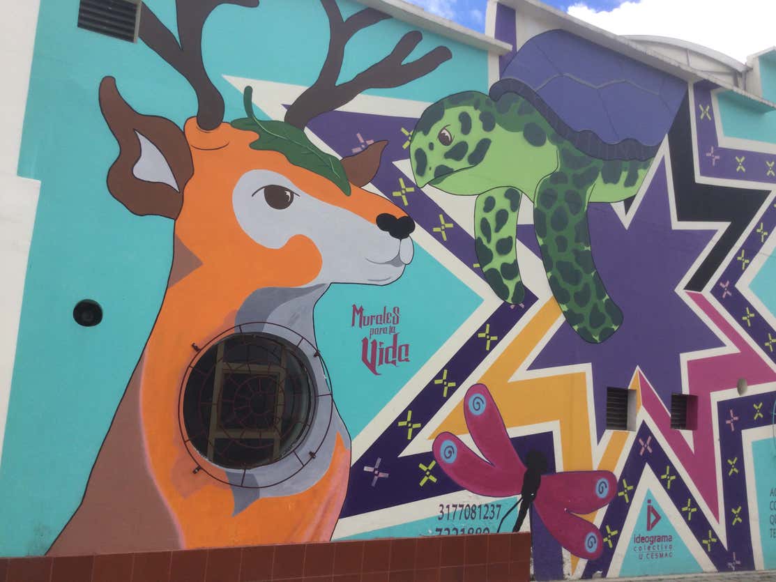 Tour del grafiti por Pasto