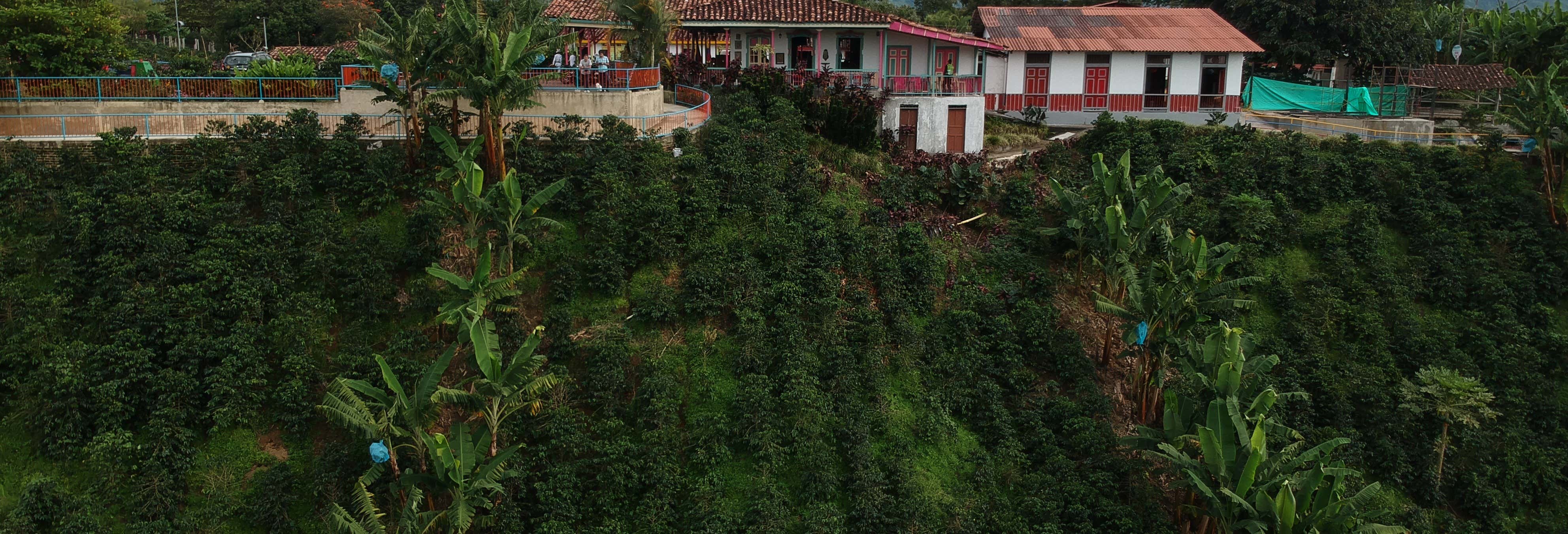 Excursión a la Finca Recuca