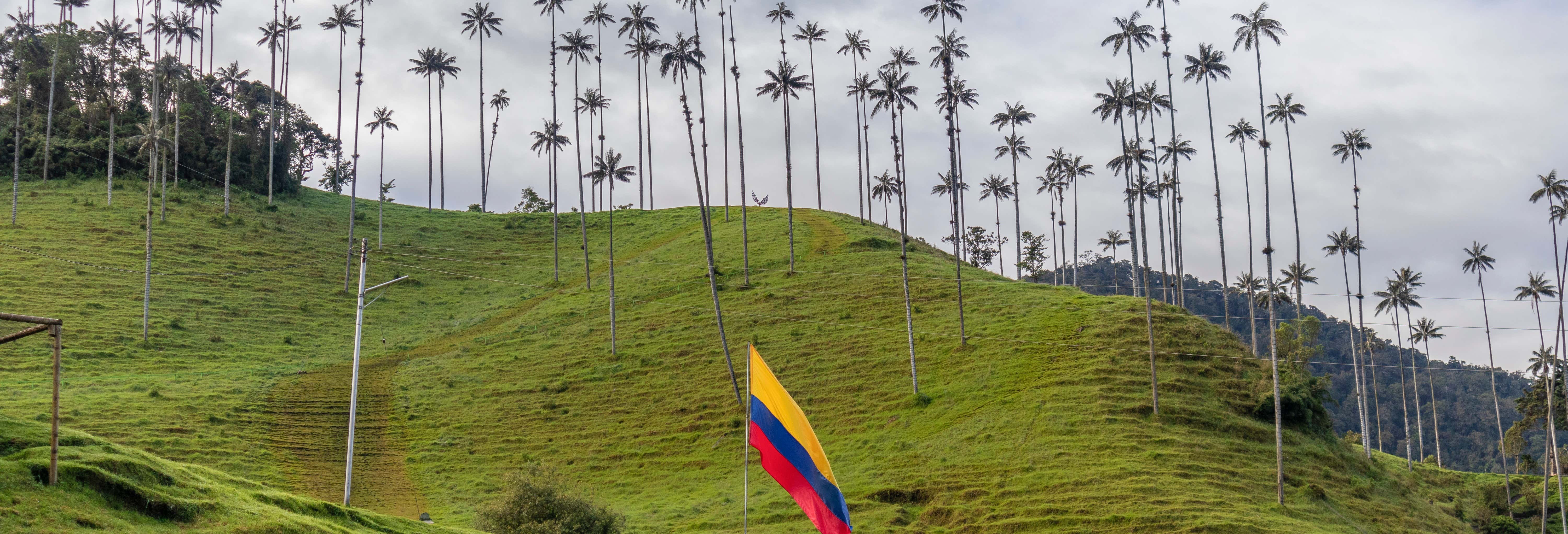Excursión al Parque del Café desde Pereira