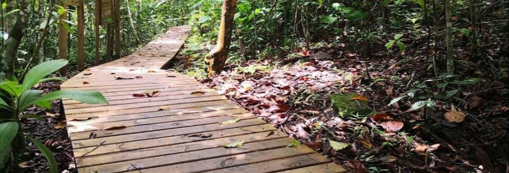 Excursión a La Virginia y El Guásimo