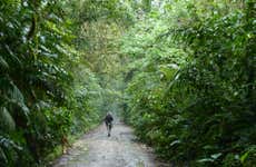 Trekking al Santuario Otún Quimbaya