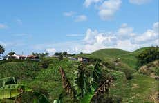 Visite de Pereira et d'une plantation de bananes