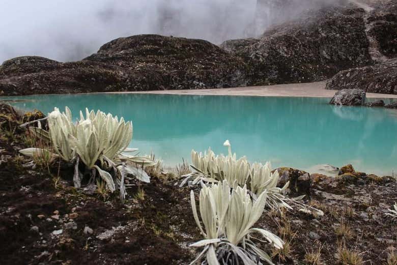 Huila Nevado del Huila 5-day Hiking Tour from Popayán to Belalcázar