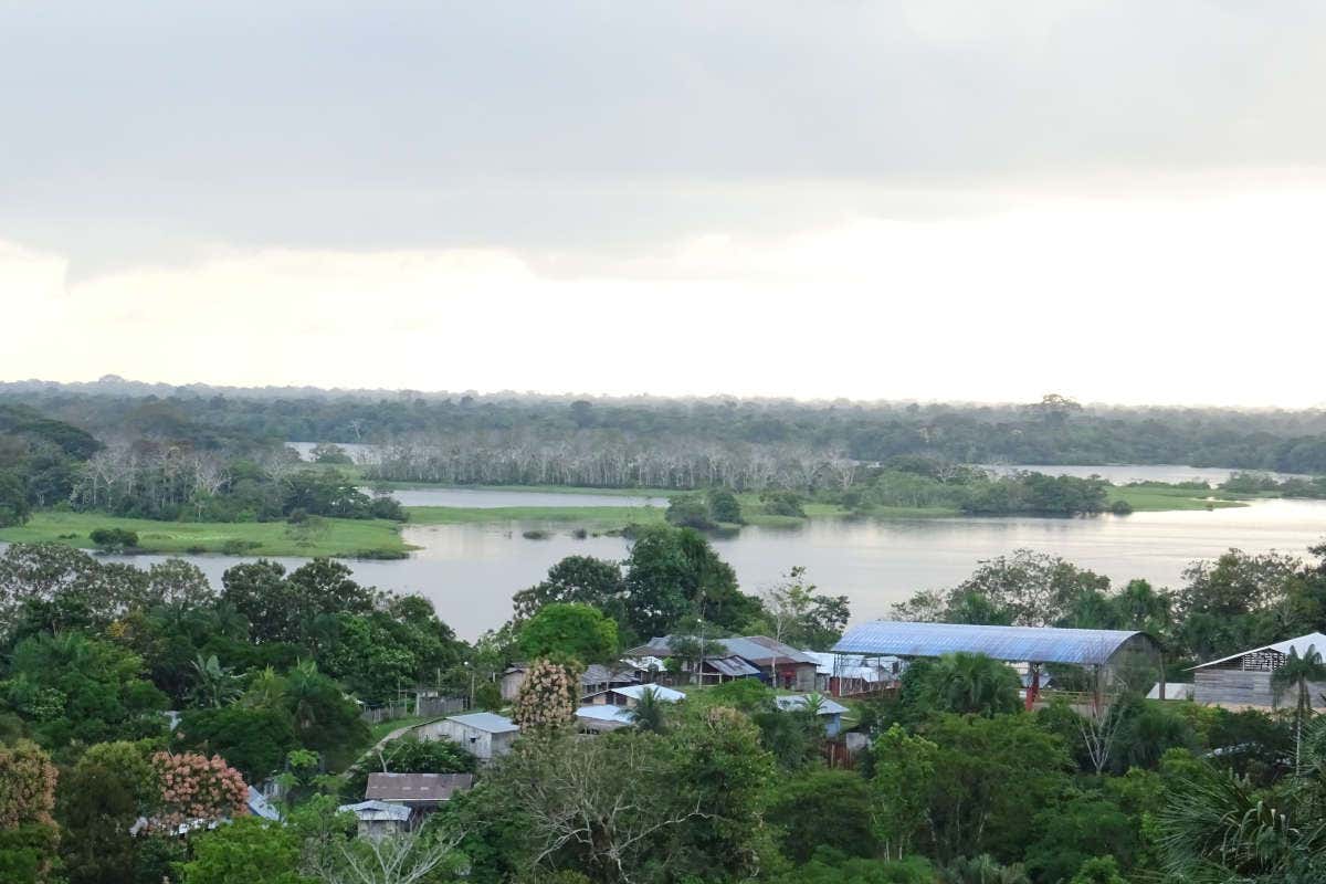 Paseo en barca por los lagos de Tarapoto desde Puerto Nariño