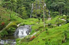 Excursão às termas de Santa Rosa de Cabal