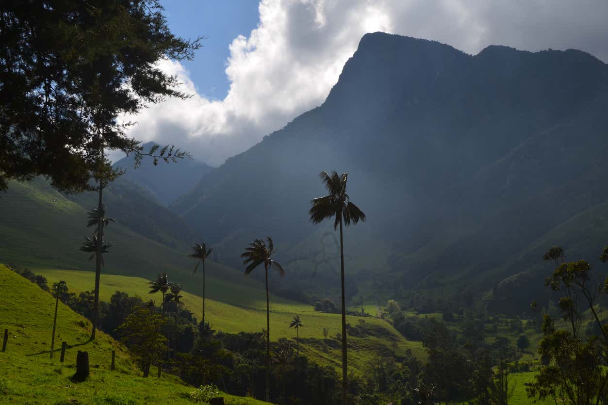 Excursión a la Reserva Cerro Morrogacho desde Salento