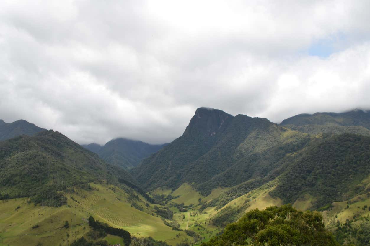 Tour por los miradores de Salento