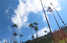 Tour por Salento e Vale do Cocora